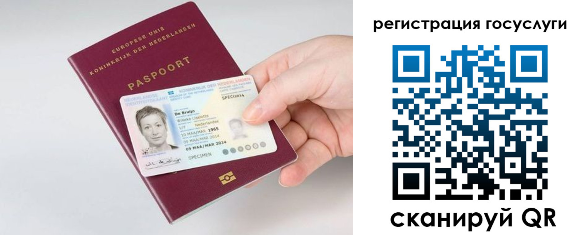 регистрация для дет. сада в Лесном